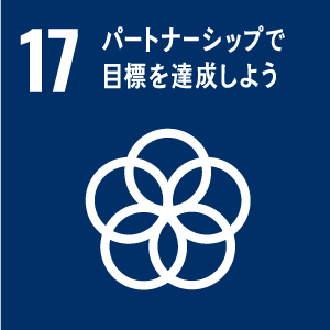 17 パートナーシップで目標を達成しよう